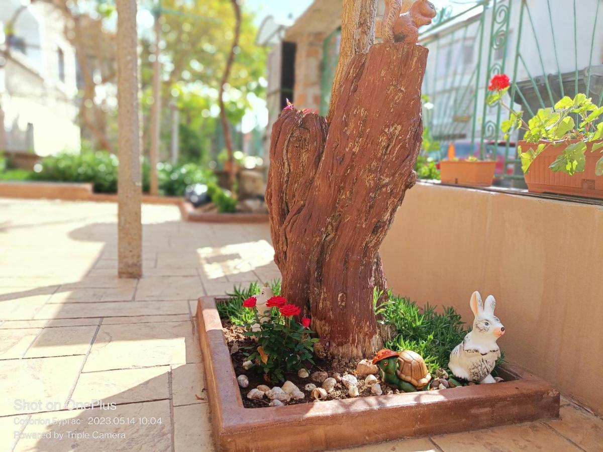 فندق Moni 85 Family House سوزوبول المظهر الخارجي الصورة
